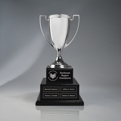 Silver Perpetual Corporate Cup