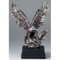 10" Eagle Performance of the Month Award