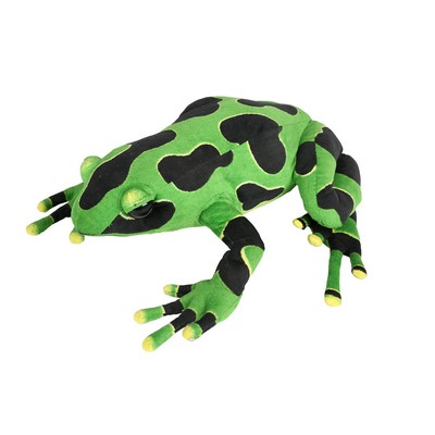 Green and Black Frog