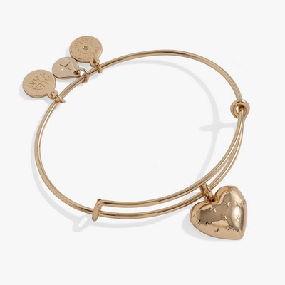 Alex and Ani® Metal Heart Charm Bangle