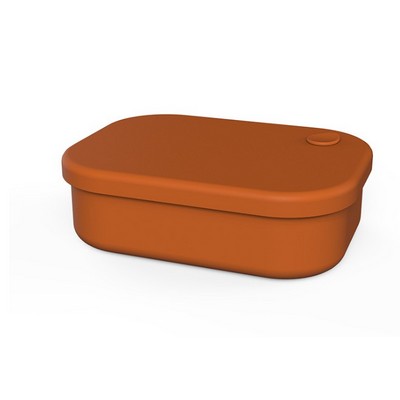 Silicone lunch box