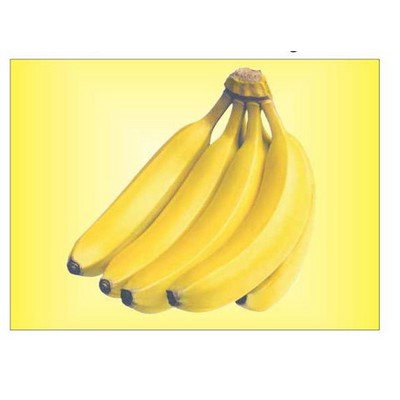 Bananas Rectangle Badge w/ Bar Pin (2 1/2"x3 1/2")