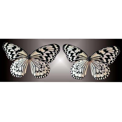 Black & White Butterfly Panoramic Metal Photo Magnet