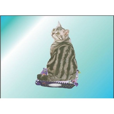 American Shorthair Cat Rectangle Badge w/ Bar Pin (2 1/2"x3 1/2")