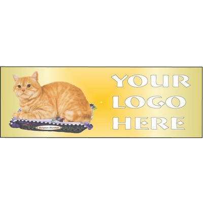 European Shorthair Cat Panoramic Metal Photo Magnet