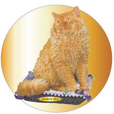 Selkirk Rex Cat Acrylic Coaster w/Felt Back