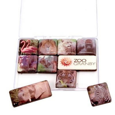 Custom 4-Color Domed Magnet Sets