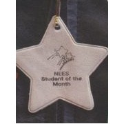 Enviright Star Zipper Pull