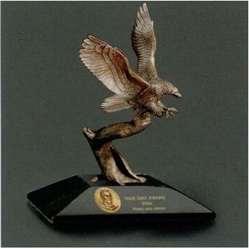 Custom Humanitarian Award