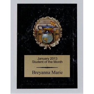 Economy Plaque w/Gold Plate & Round Image (6" x 8")