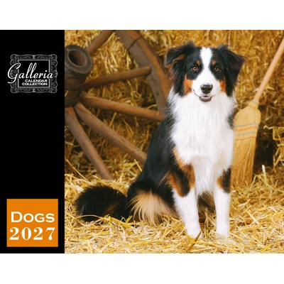 Galleria Wall Calendar 2027 Dogs