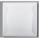Premium Square Plastic Plate (10")