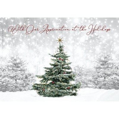 Spruced Up Holiday Cards