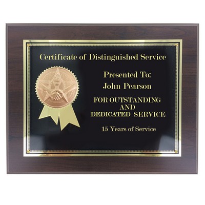 Handshake & Star Plaque w/2" Stamped Medallion Insert (8" x 10")
