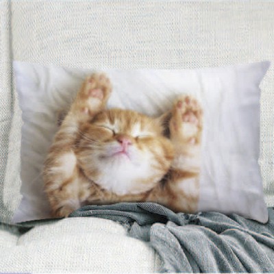 Standard Pillow Case Cover (30'' x 20'')