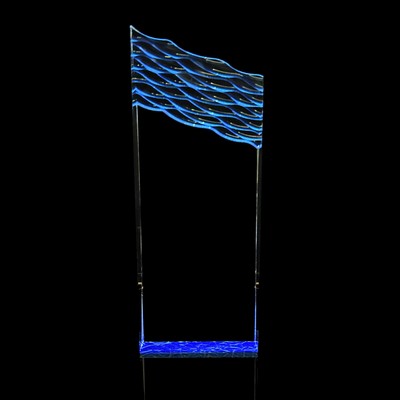 Large Wavey Top Award