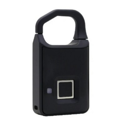 Biometric Lock Small Backpack Sized
