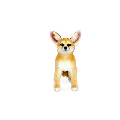 Fennec Fox