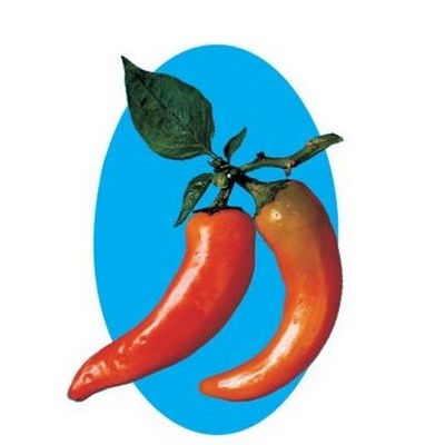 Chili Pepper Maxi Magnet (12 Square Inch)