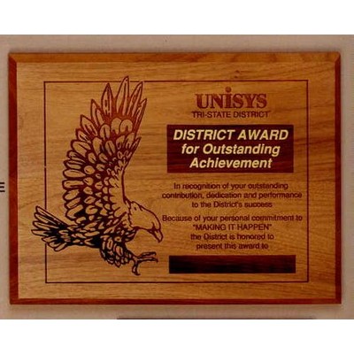 10-1/2"x13" Walnut Award With 8-1/2"x10-1/2" Plate