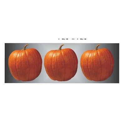 Pumpkin Panoramic Metal Photo Magnet (1 5/8"x4 5/8")