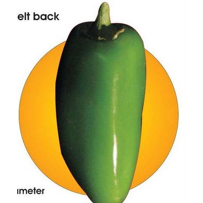 Jalapeno Acrylic Coaster w/Felt Back