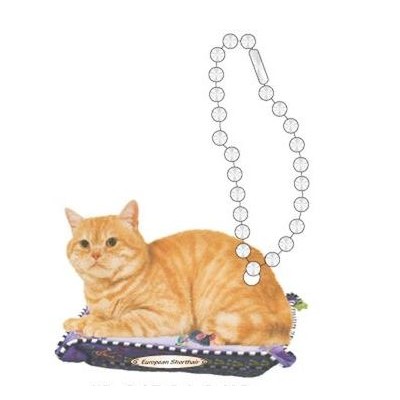 European Shorthair Cat Promotional Key Chain w/ Black Back (4 Square Inch)