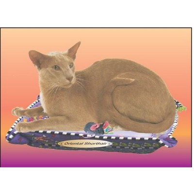 Oriental Shorthair Cat Rectangle Metal Photo Magnet (2"x3")