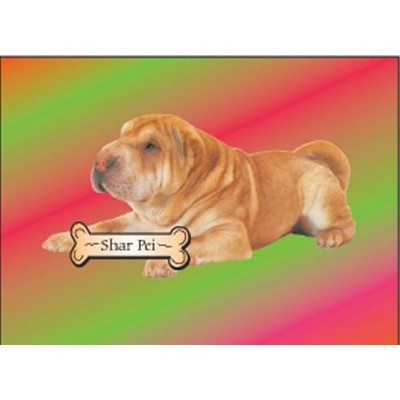 Shar Pei Dog Rectangle Metal Photo Magnet (2"x3")
