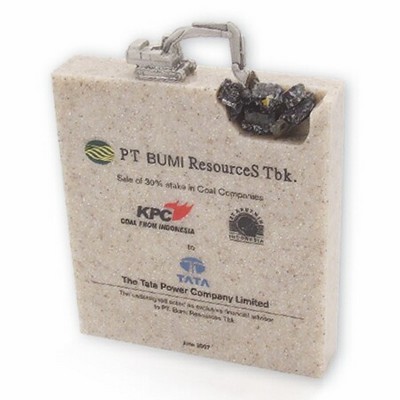 Custom Shape Embedment/Award/Paperweight