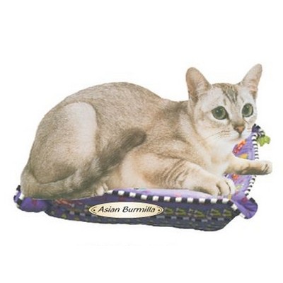 Asian Burmilla Cat Executive Magnet w/ Full Magnetic Back (10 Square Inch)