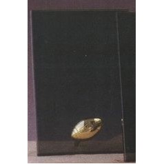 Smoked Glass Plaque Award w/Gold Football Accent & Gold Plastic Mounts (5"x7.5")