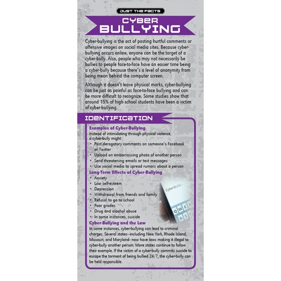 Cyber-Bullying Just the Facts Rack Card