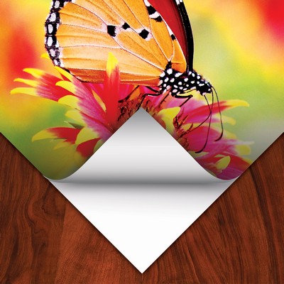 Photo Tex EX High Tack