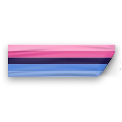 3" x 10" Omnisexual Pride Window Decals