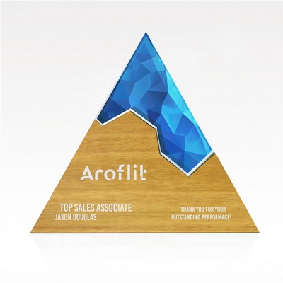 Triangle Edge Puzzle Award - Large