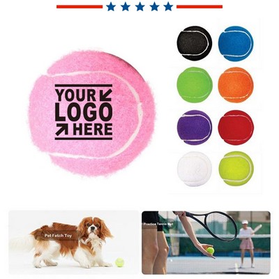 Professional Tennis Ball Pet Fetch Toy