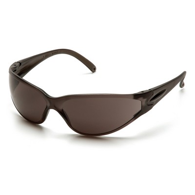 Fastrac Safety Glasses, Gray Frame and Lens