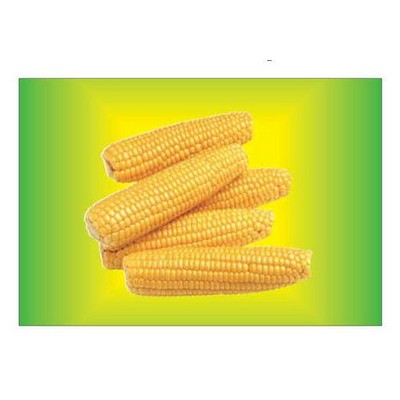 Corn On Cob Rectangle Metal Photo Magnet (2"x3")