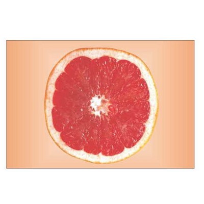 Grapefruit Rectangle Metal Photo Magnet (2"x3")