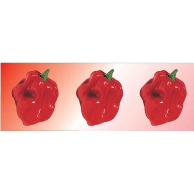 Red Habanero Pepper Panoramic Badge w/ Bar Pin