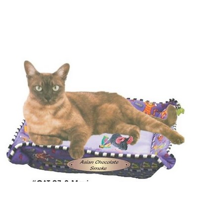 Asian Chocolate Smoke Cat Maxi Magnet (12 Square Inch)