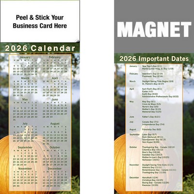 Peel & Stick Full Color Calendar Magnet (3 1/2"x8 1/2")