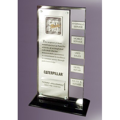 Cat Pro Silver Add On Award