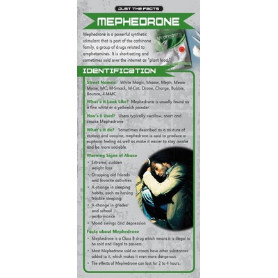 Mephedrone Just the Facts Rack Card (4" x 9")