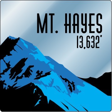 5" Kwik-Ship Chrome Polyester Screen Print Round Corner Decal