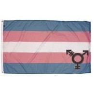 Transgender Digital Nylon Pride Flag (3'x5')