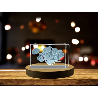 Spinach 3D Engraved Crystal Trophy Award w/LED Base - Nature Gift