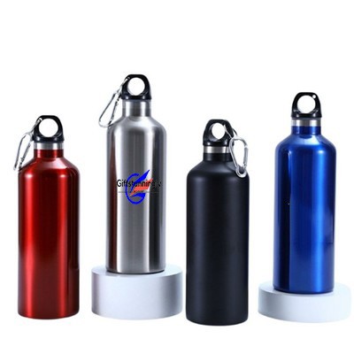 16.9 Oz Stainless Steel Insulated Bottle
