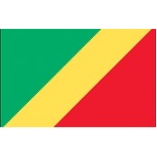 2'x3' Republic of Congo UN Nylon Outdoor Flag - Style B